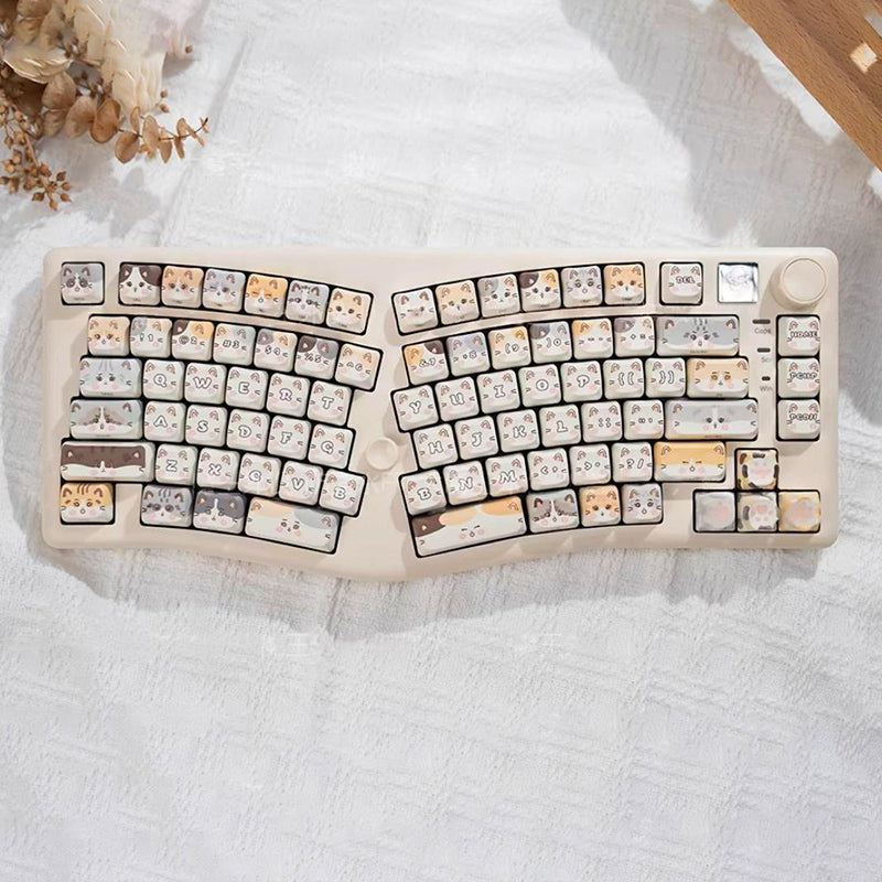 WhatGeek x LEOBOG Alice A75 Wireless Mechanical Keyboard Review