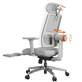 NEWTRAL Magic H-BPro Ergonomic Chair with Auto-Following Backrest