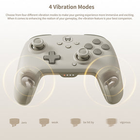 BIGBIG WON CHOCO Wireless Game Controller