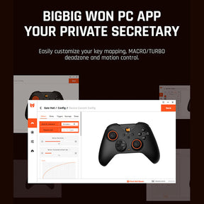 BIGBIG WON GALE HALL Wireless Game Controller