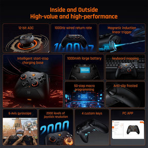 BIGBIG WON GALE HALL Wireless Game Controller