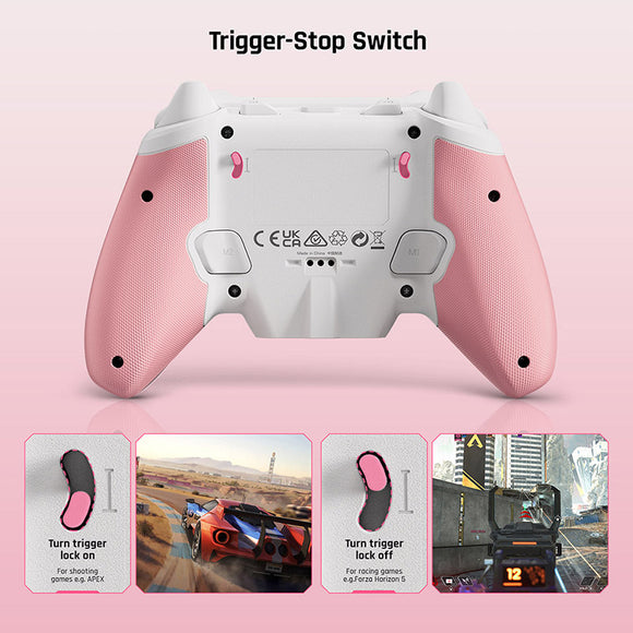 BIGBIG WON Rainbow 2 SE Game Controller Hall Effect Trigger