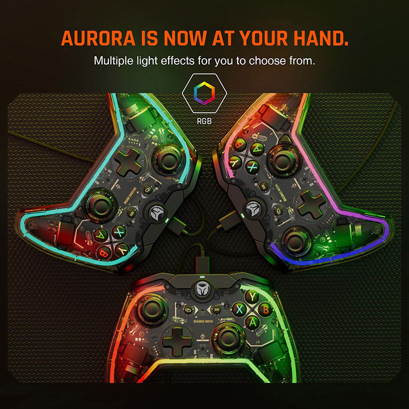 BIGBIGWONRainbowLiteWiredGameController_10