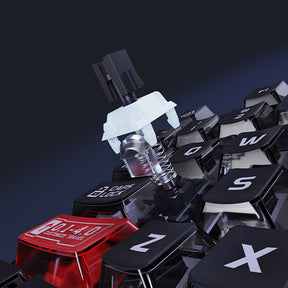 DAREU EK75 Wired Magnetic Switch Mechanical Keyboard