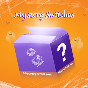 Mystery Switches Box