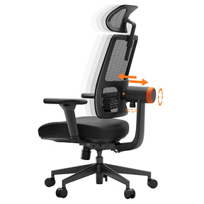 NEWTRAL MAGICH003 Ergonomic Office Chair with Adaptive Lower Back Support