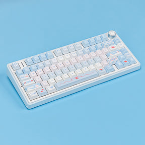 AULA F75 Wireless Mechanical Keyboard