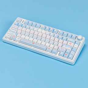 AULA F75 Wireless Mechanical Keyboard