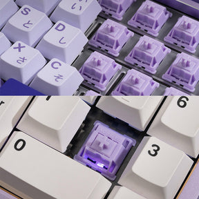 Wuque Studio POM+ Linear Switches Thocky