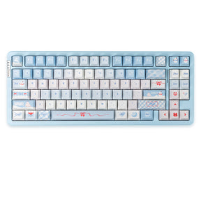 PIWIJOY In Winter Cherry Proflie Keycap Set 146 Keys Support Alice ISO